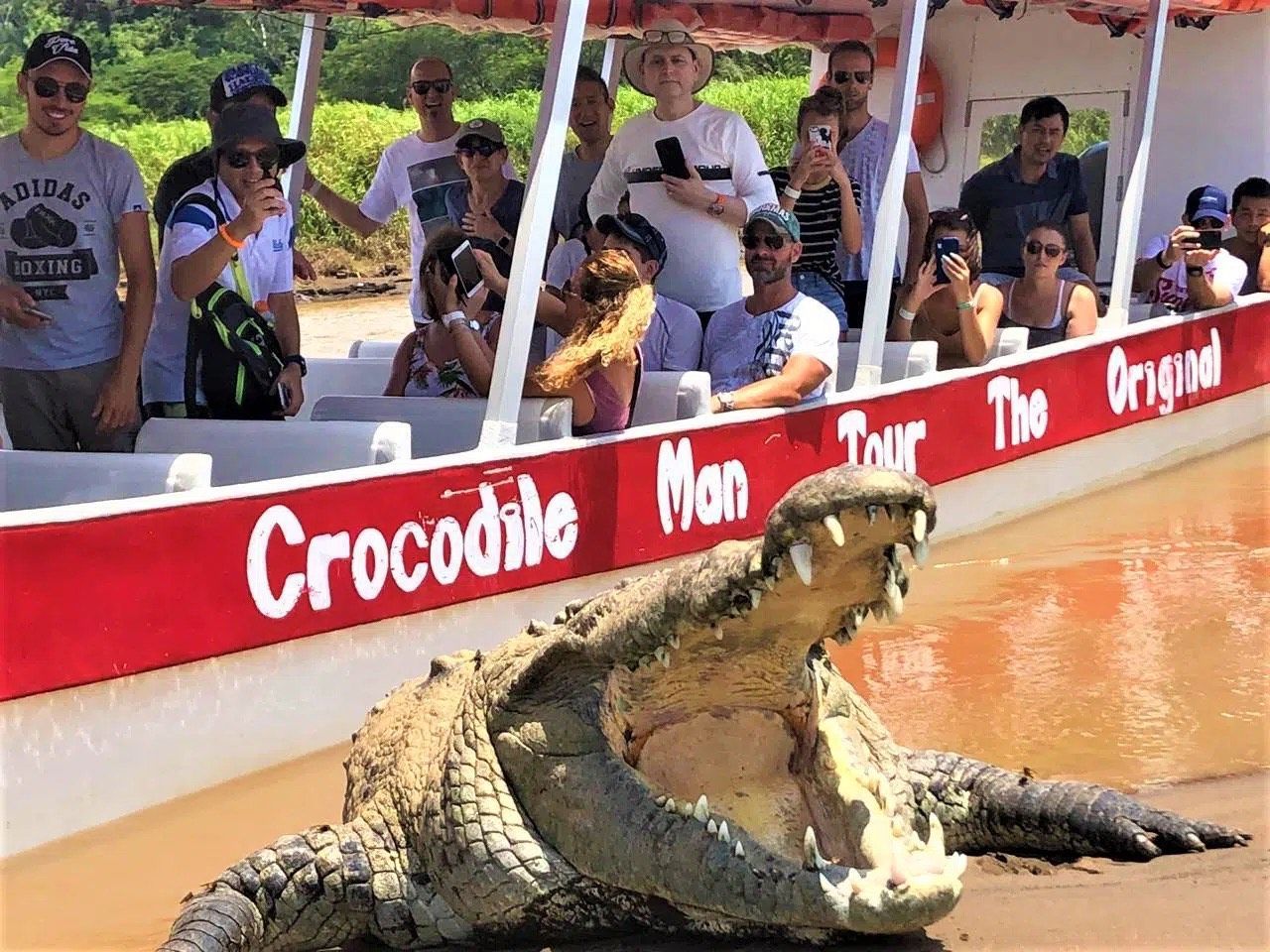 Crocodile Watching Tour